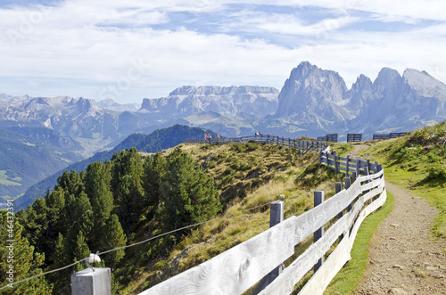 Wanderweg auf der Seiser Alm 0870 photo