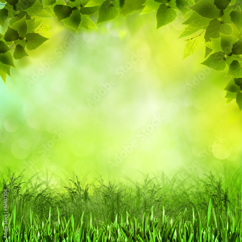 Natural neauty. Abstract natural backgrounds for your design photo