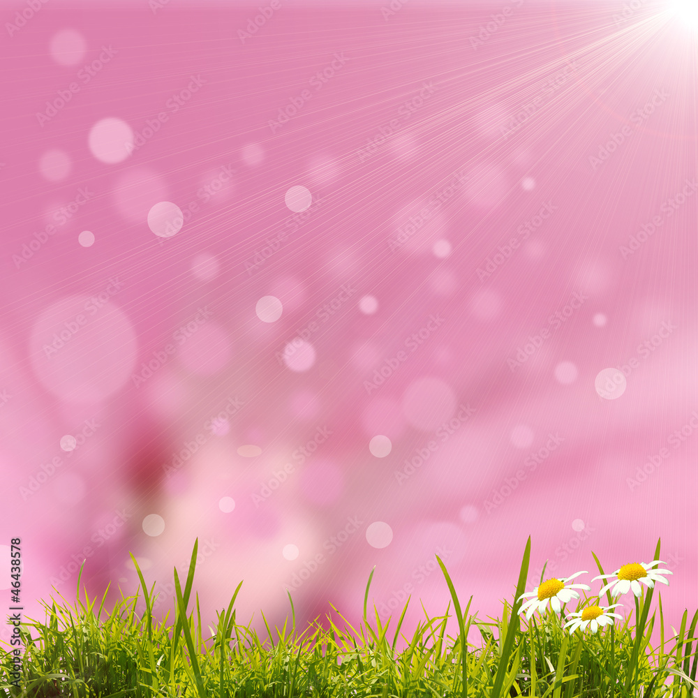 Obraz premium green grass background