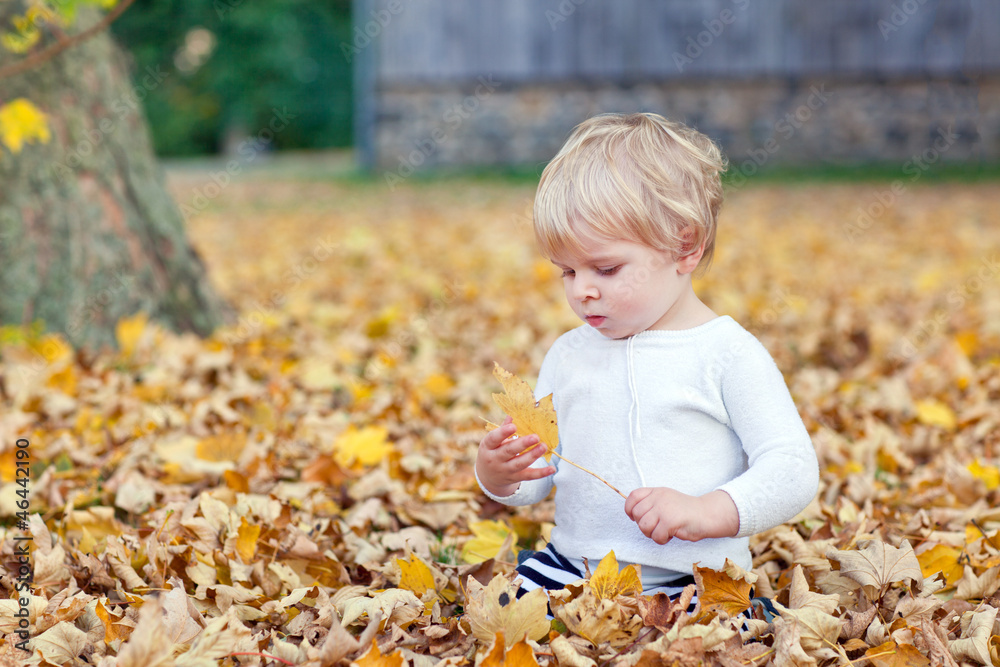 Little toddler boy in autumn park Little toddler boy in autumn park
