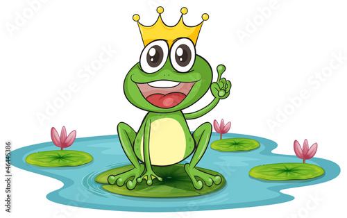 a frog and a water