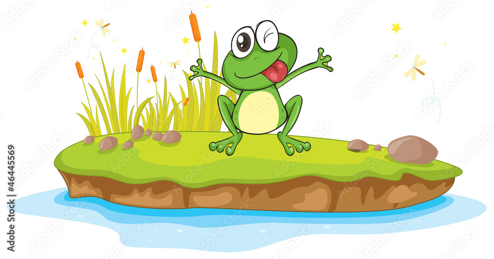 Obraz premium a frog and a water
