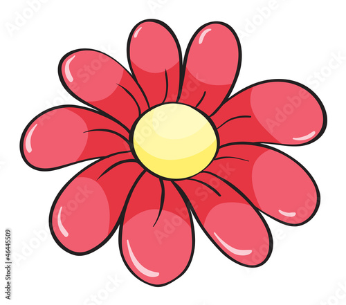 Fototapeta Naklejka Na Ścianę i Meble -  a red flower