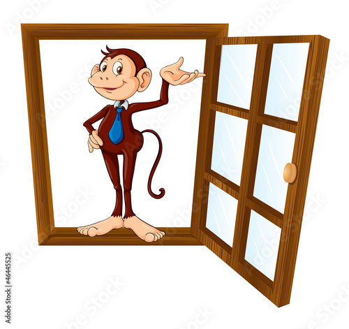 a monkey
