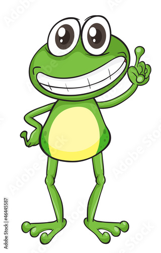 a frog