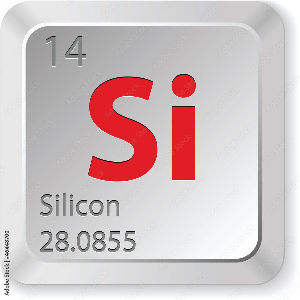 Fototapeta premium silicon button