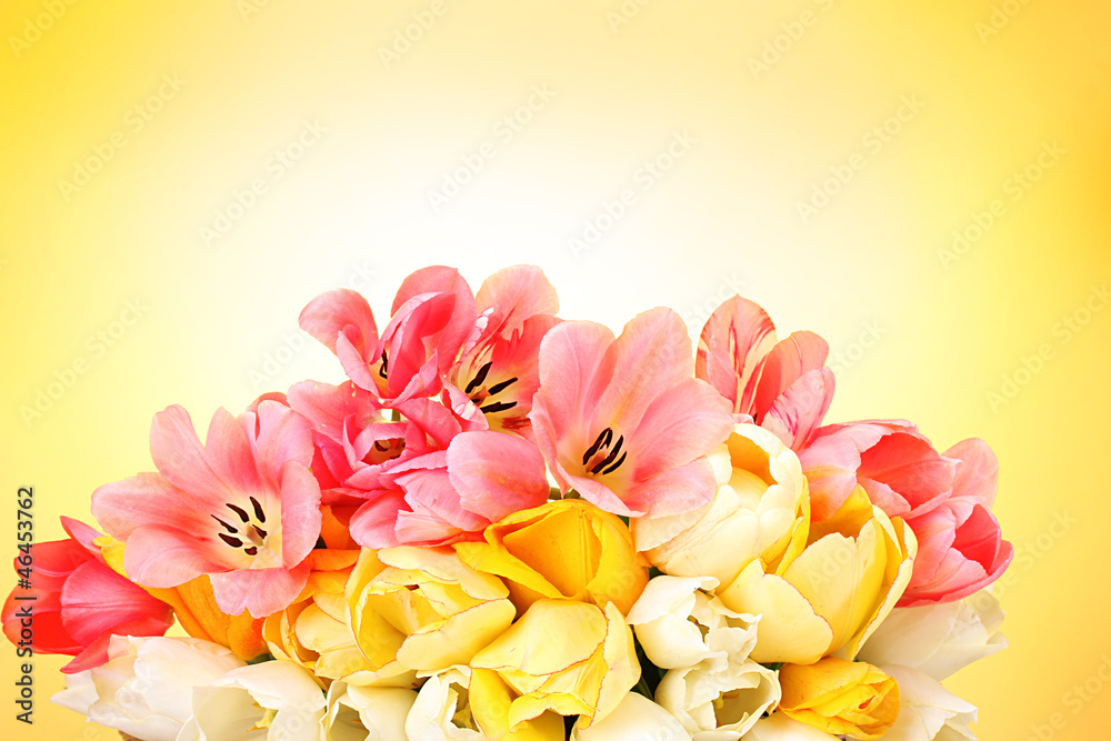 Fototapeta premium beautiful tulips on yellow background.