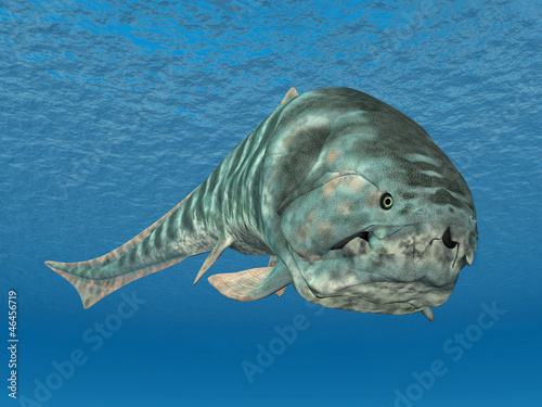 Dunkleosteus photo