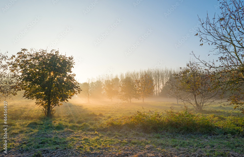 Hazy morning at fall