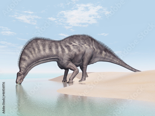 Fototapeta Naklejka Na Ścianę i Meble -  Dinosaur Amargasaurus