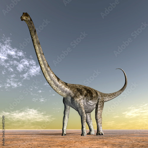 Fototapeta Naklejka Na Ścianę i Meble -  Dinosaur Puertasaurus