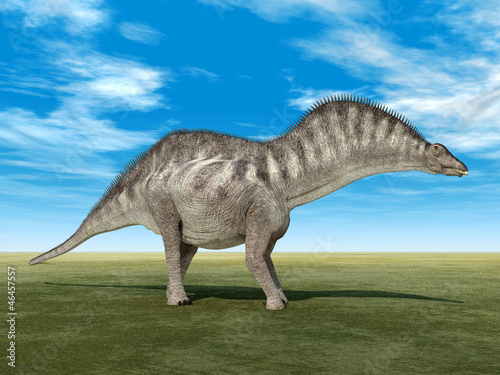 Fototapeta Naklejka Na Ścianę i Meble -  Dinosaur Amargasaurus