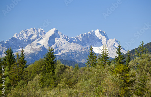 charming rocks and coniferous forest