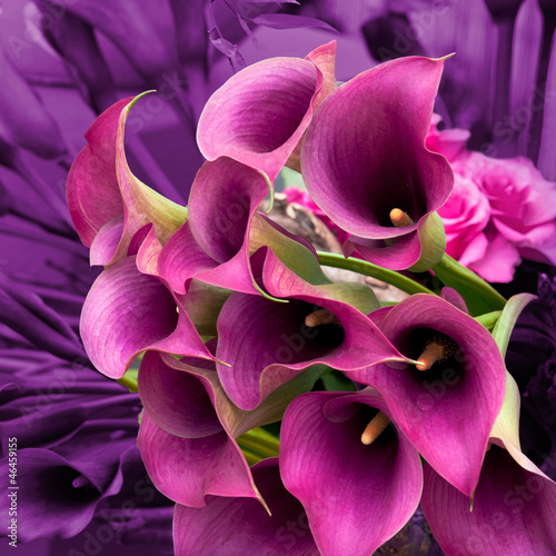 Purple calla lilies. Bouquet.