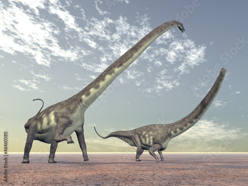 Dinosaur Mamenchisaurus © Michael Rosskothen