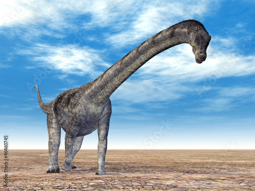 Puertasaurus