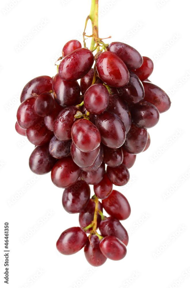 Delicious ripe bunch of grapes isolated on white Delicious ripe bunch of grapes isolated on white