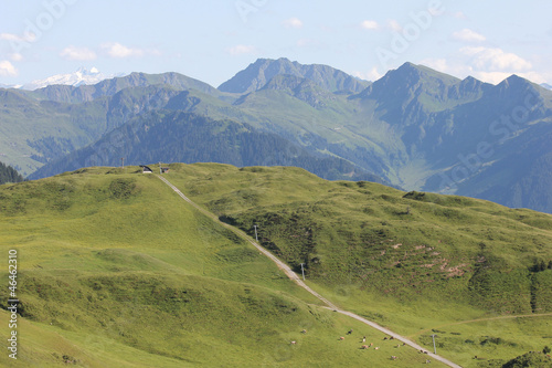 Alpenlandschaft, Sommer - Kitzbühler Alpen