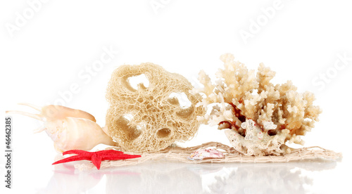 Obraz na płótnie Loofah isolated on white