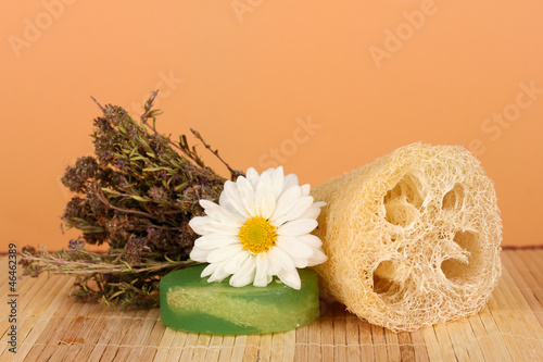 Obraz na płótnie Loofah on color background