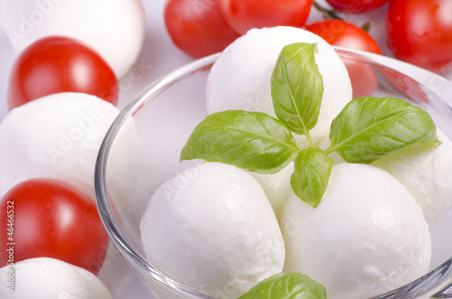 latticini con pomodorini e foglie di basilico fresco photo