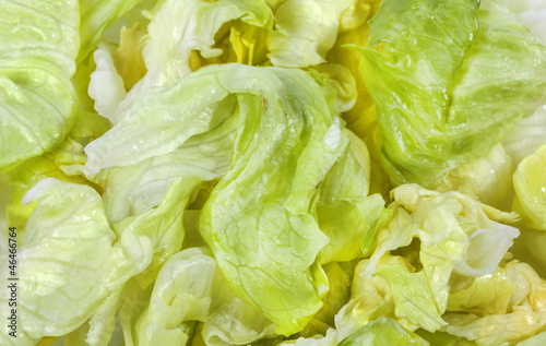 Iceberg lettuce fresh green salad