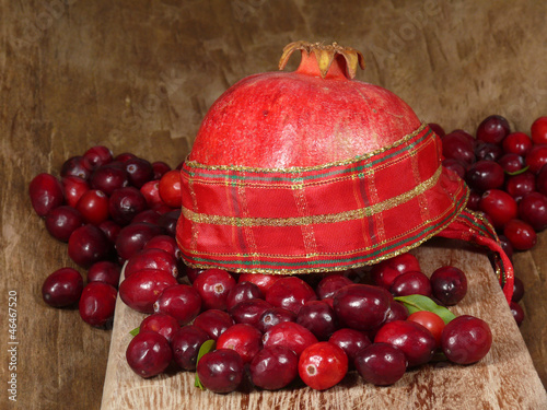 Cranberries und Granatapfel photo