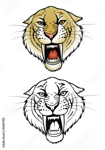 Fototapeta Naklejka Na Ścianę i Meble -  Saber tooth tiger