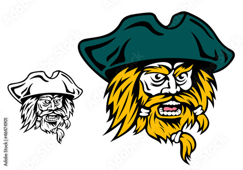 Shouting pirate