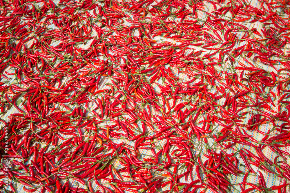 Red hot chili pepper Red hot chili pepper