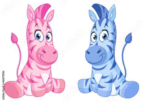 Baby zebras