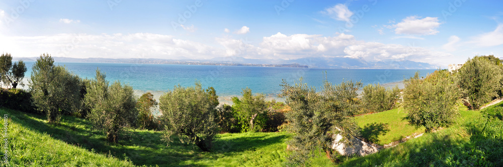 Panoramafoto Gardasee mit Olivenhain