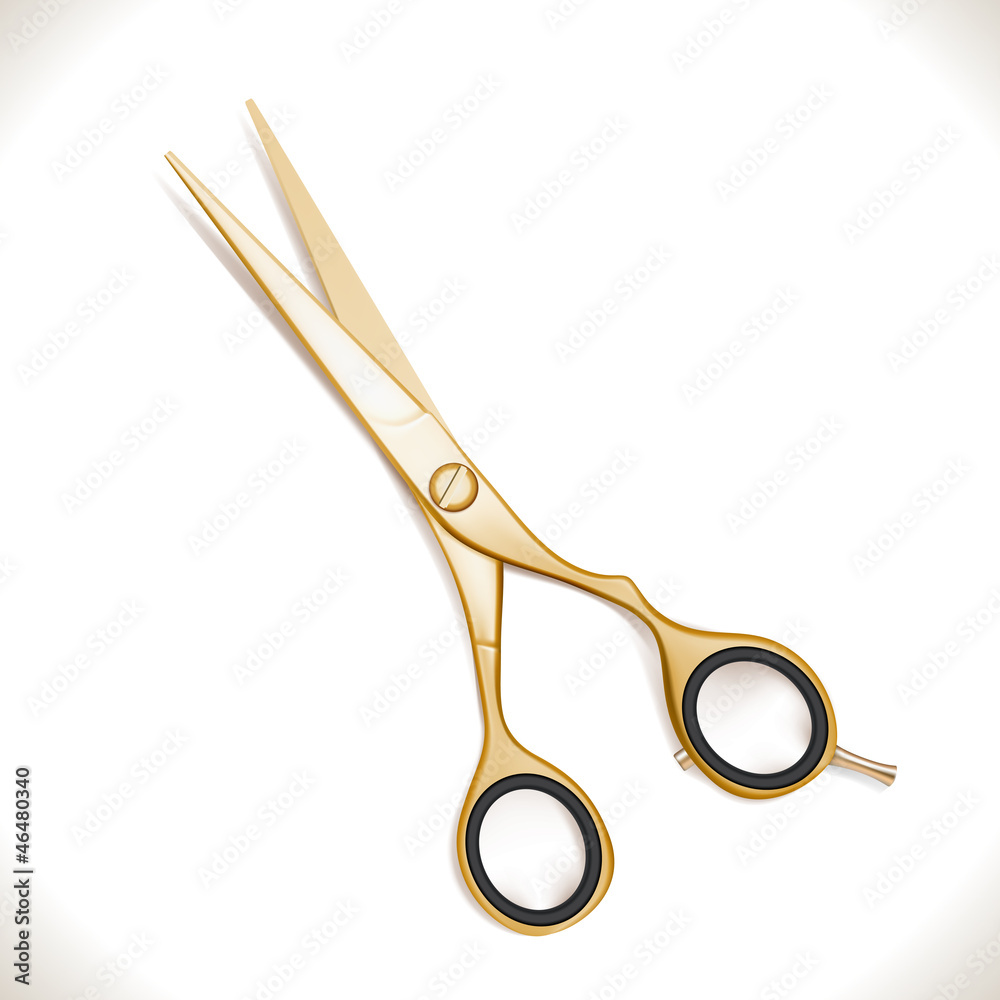 Golden Scissors Golden Scissors