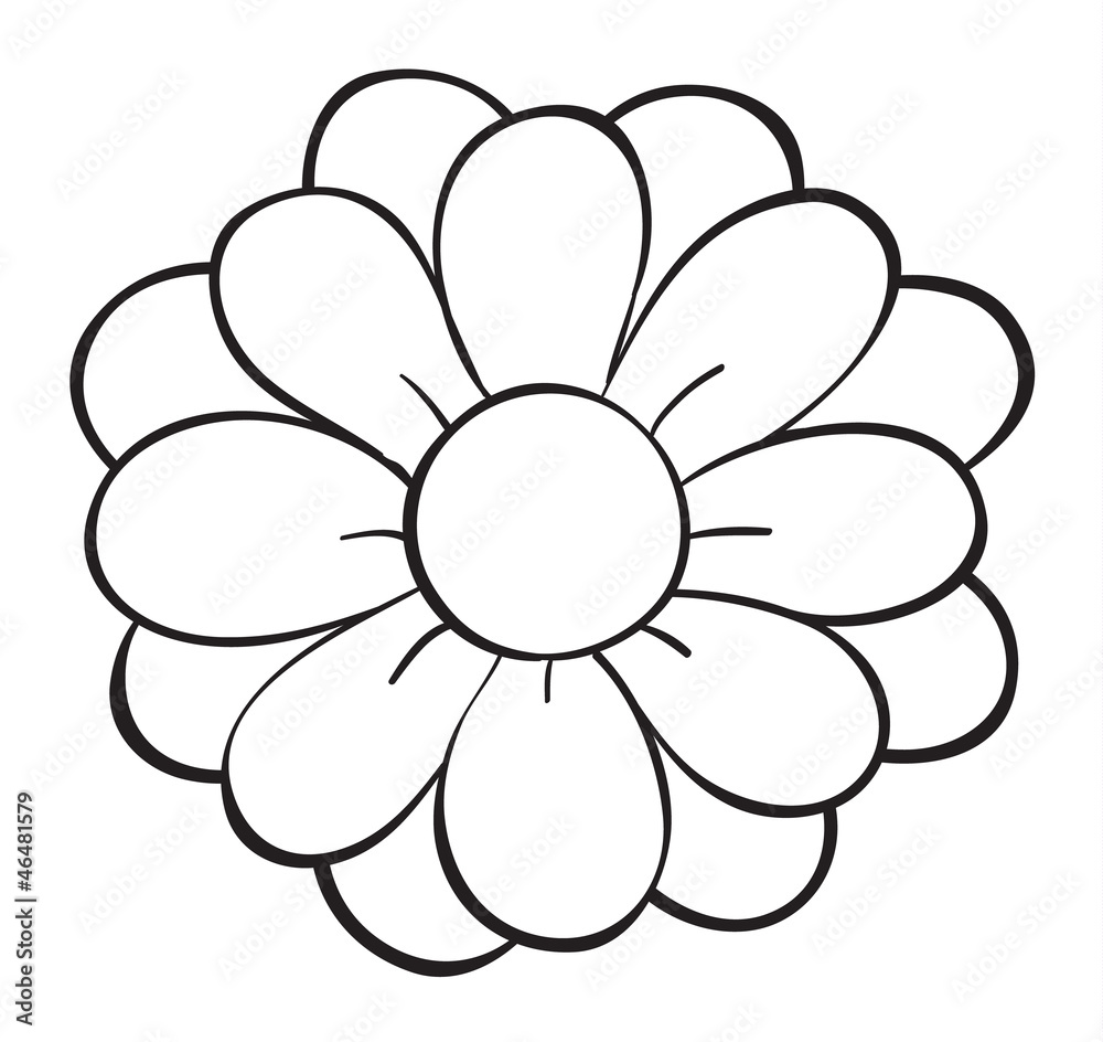 a flower sketch