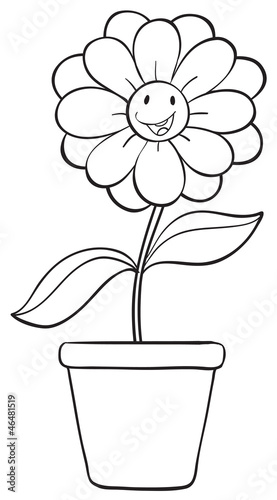 a flower and a pot sketch