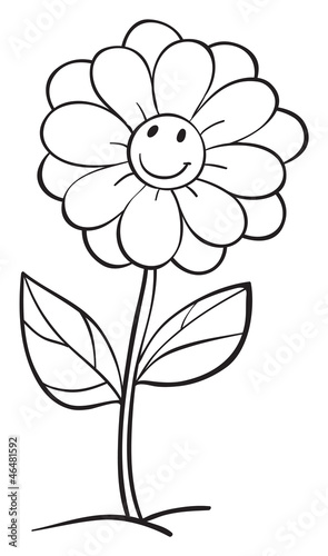 a flower sketch
