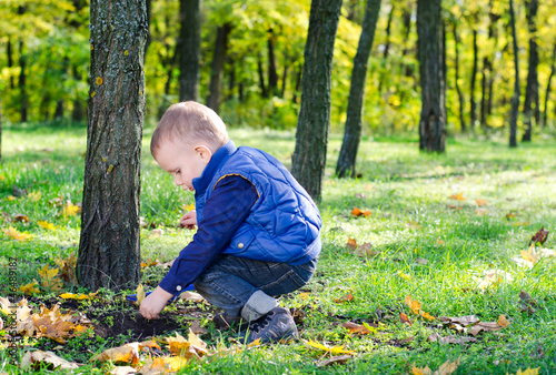 Little boy playing in lush woodland