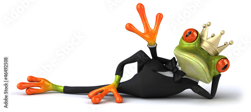 Photos Fun frog
