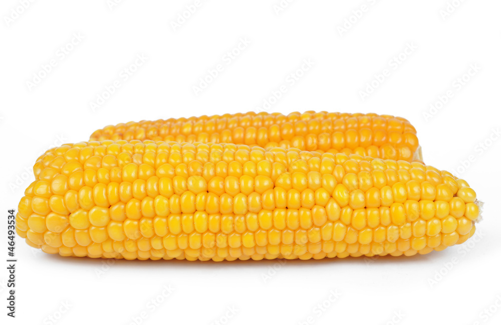 corn isolated on white background corn isolated on white background