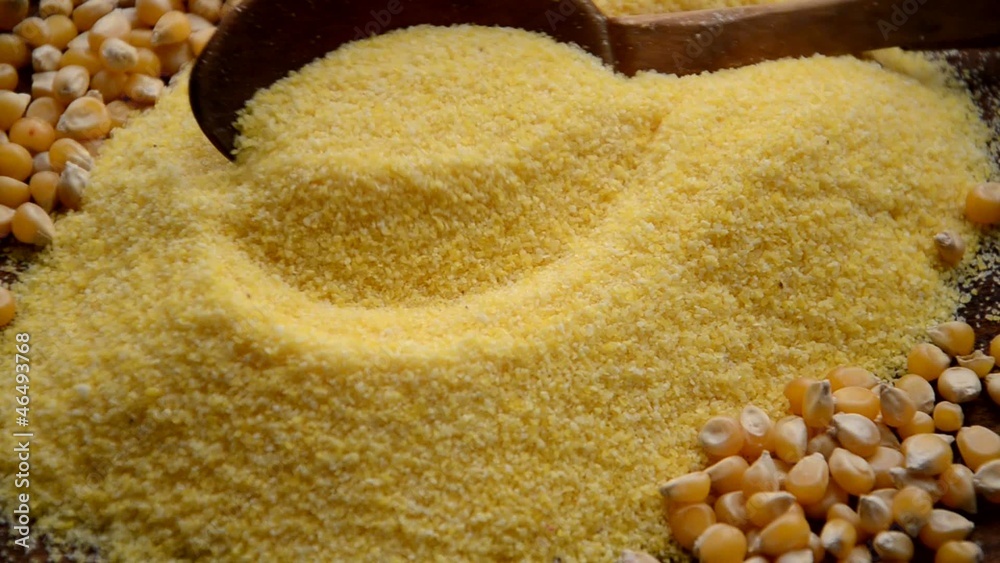 Zea mays