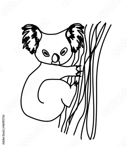 Fototapeta Naklejka Na Ścianę i Meble -  koala cartoon drawing.