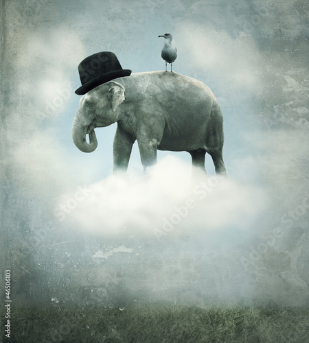 Fantasy elephant flying