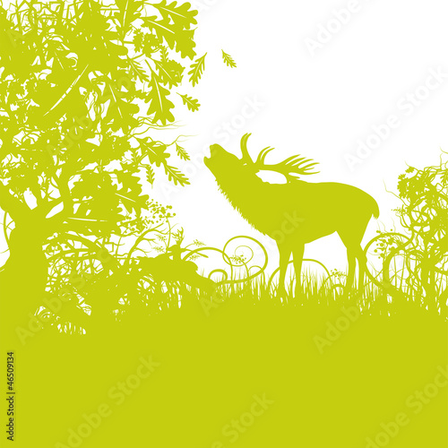 Grashalme Hirsch und Brunft