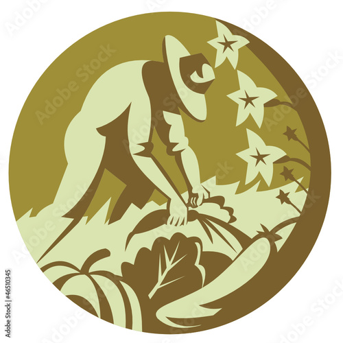 Organic Farmer Harvesting Vegetable Crops Retro