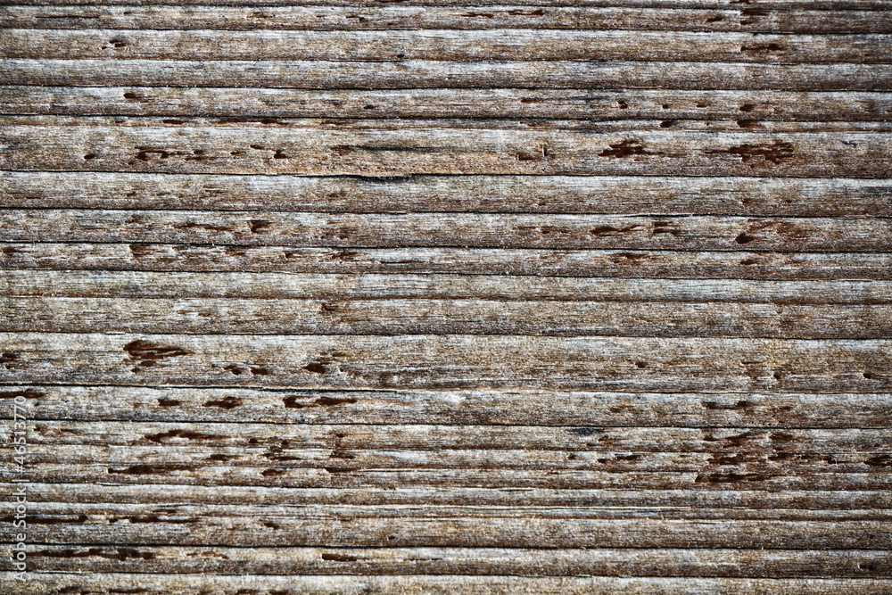 Fototapeta premium Old wood texture