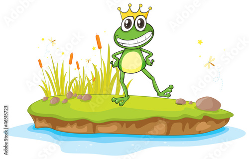 a frog and water