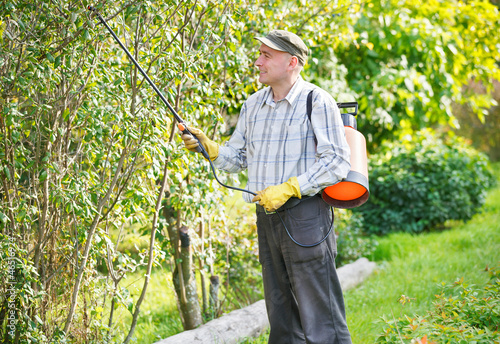 man spraying shrubs in the garden