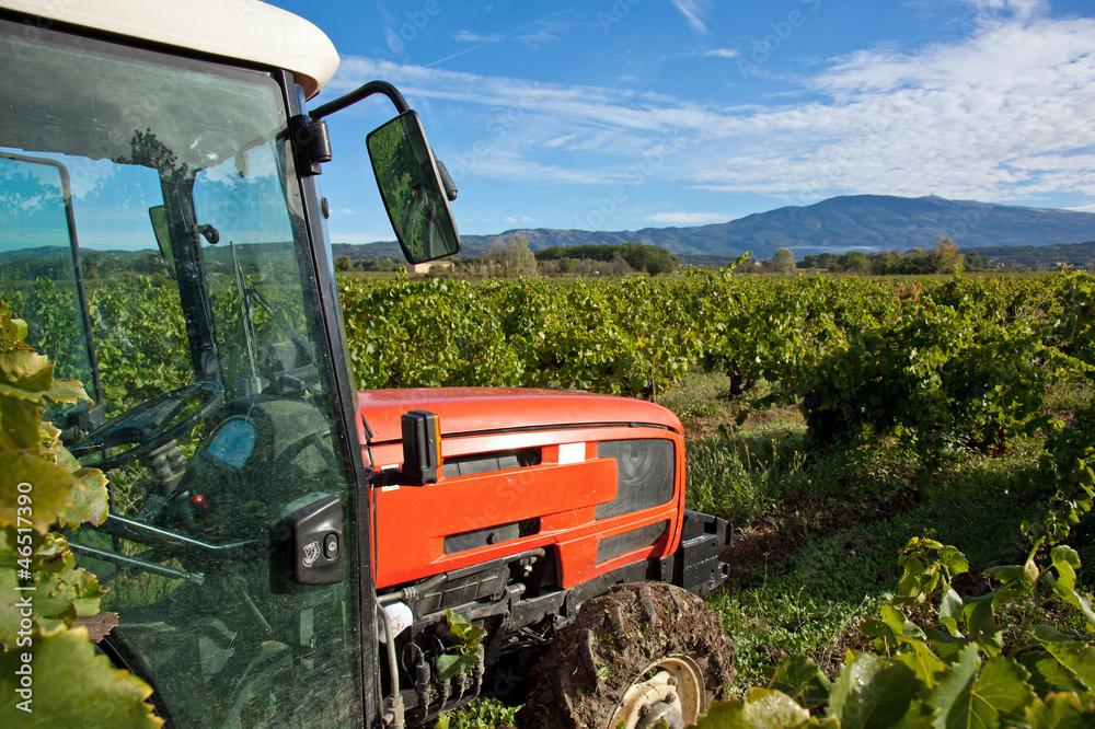 Naklejka premium Tracteur dans un champ de vigne