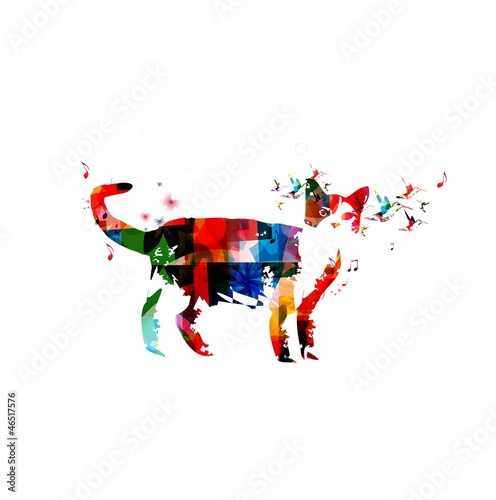 Colorful vector cat background