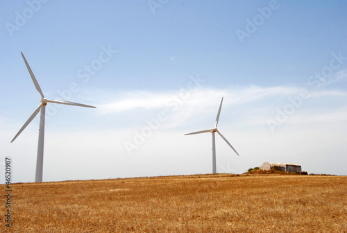parc éolien de Korbou à El Haouaria